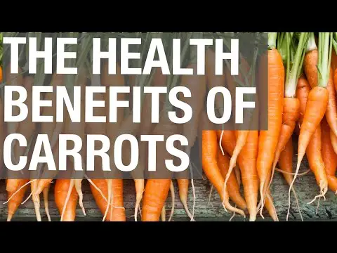 The Health Benefits of Carrots