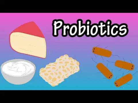 Probiotics - What Are Probiotics - Health Benefits Of Probiotics - Foods With Probiotics