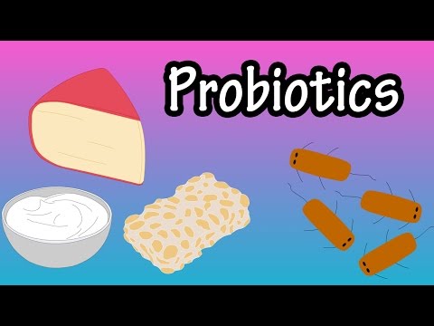 Probiotics - What Are Probiotics - Health Benefits Of Probiotics - Foods With Probiotics