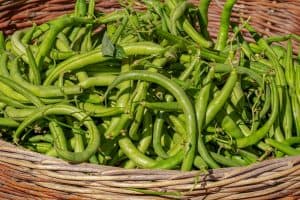 Green beans should be a part of your reflux diet.