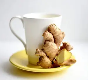 Ginger and a cup of tea
