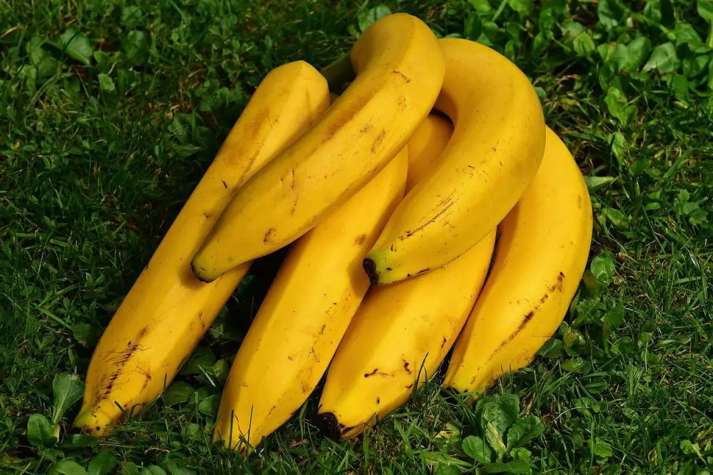 Can Bananas Give You Heartburn? Are Bananas OK For Acid Reflux?